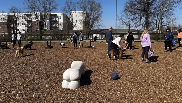 Paul Ruster Dog Park photo 2